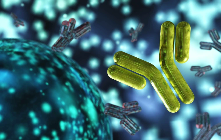 antibody, immunoglobulins, 3d rendering