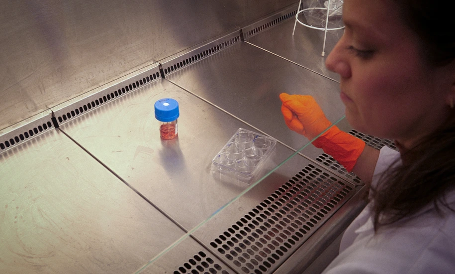 Semb Lab Behind the Scenes