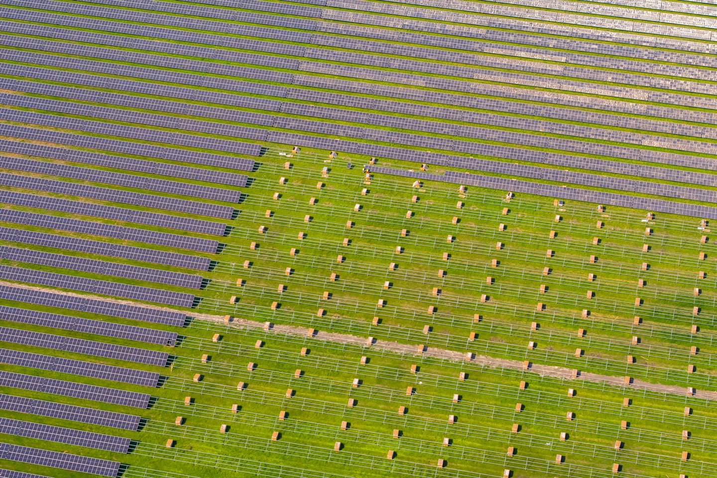 Make the most of your renewable assets