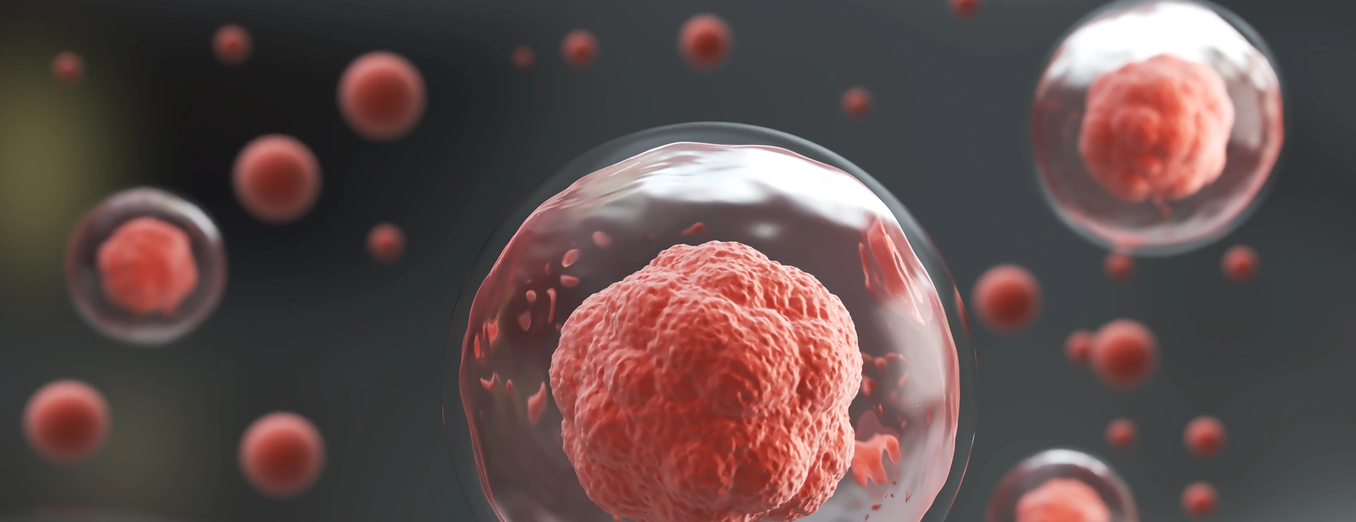 3d rendering of Human cell