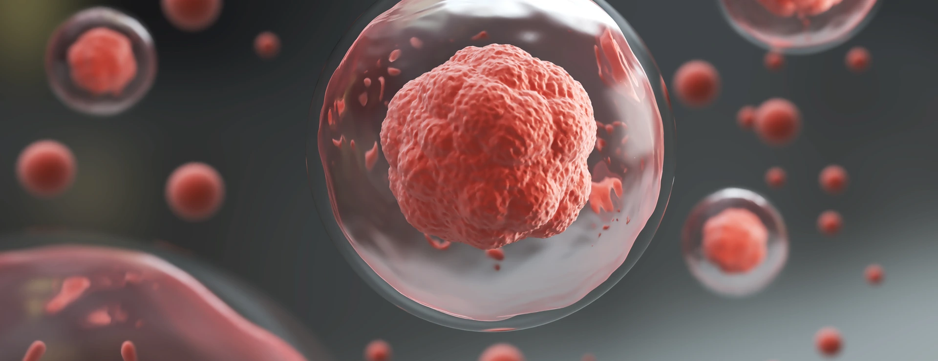 3d rendering of Human cell