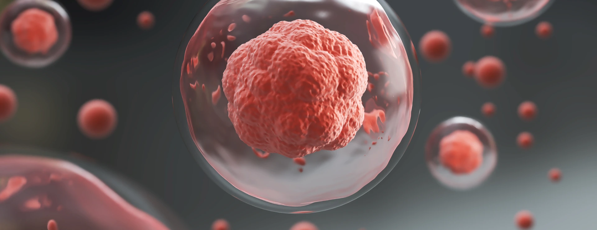 3d rendering of Human cell