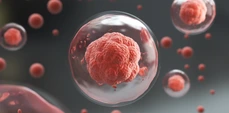 3d rendering of Human cell