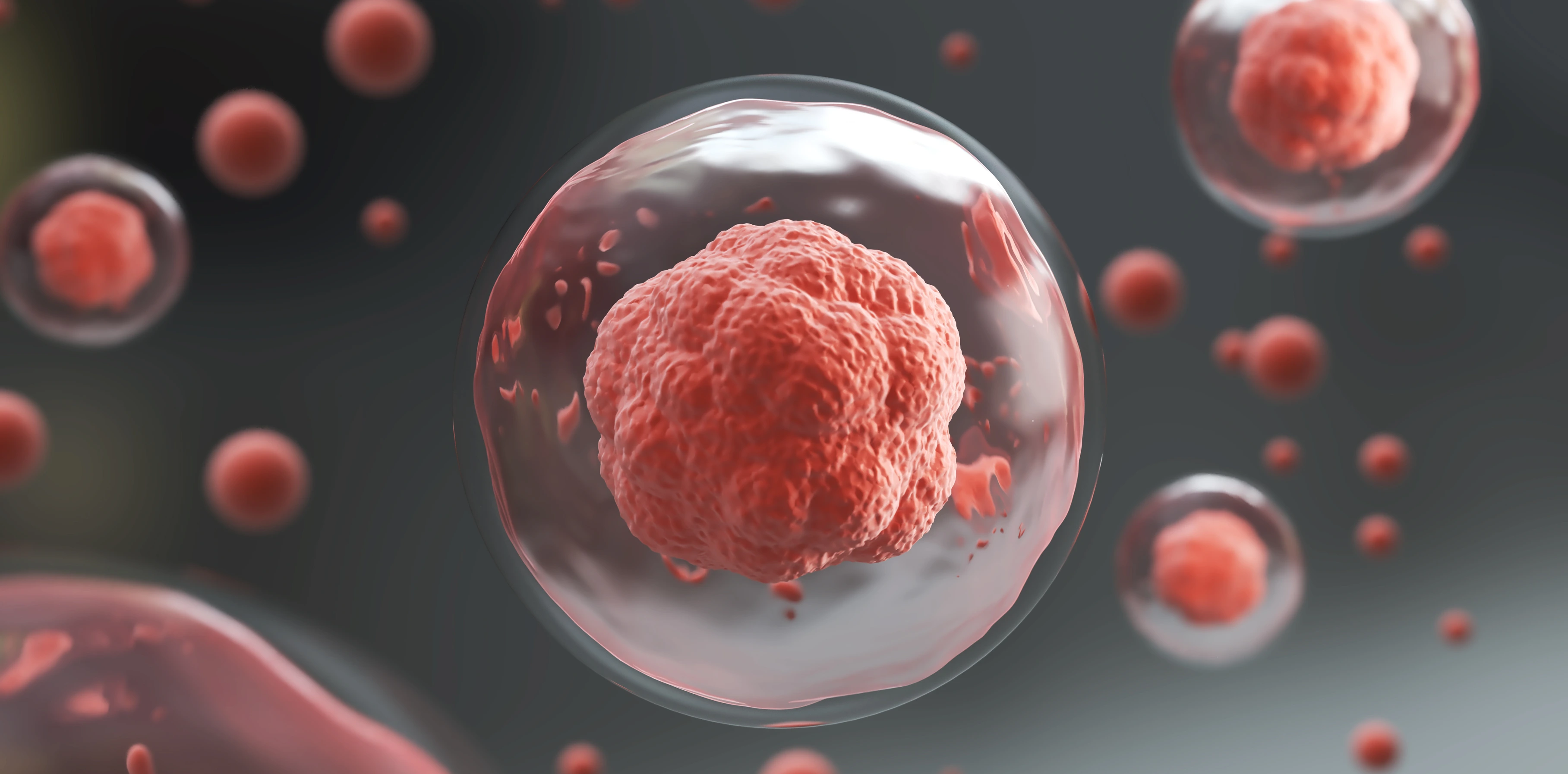 3d rendering of Human cell