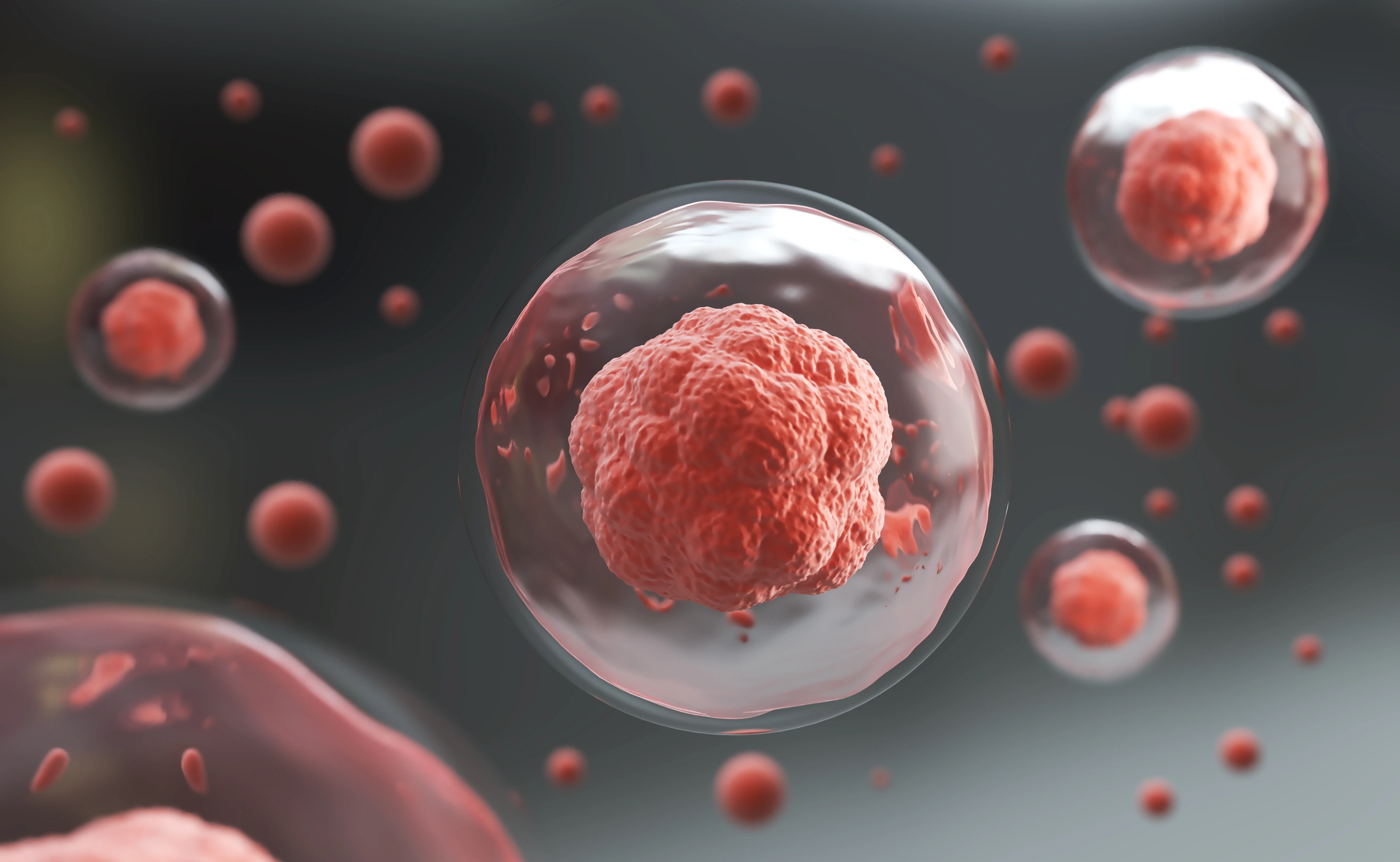 3d rendering of Human cell