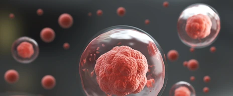 3d rendering of Human cell