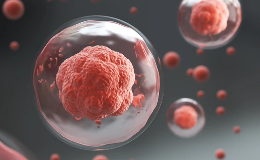 3d rendering of Human cell