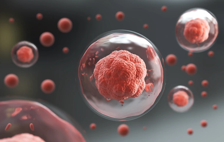 3d rendering of Human cell