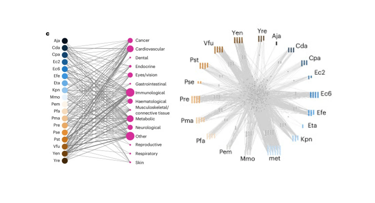 left: Disease groups for which genetic predisposition proteins are enriched in network neighbourhoods of effectors of the indicated strains. Trait node size corresponds to number of significantly targeted traits in that group as indicated in the legend.
rgiht: Human microbiome meta-interactome (HuMMI) map