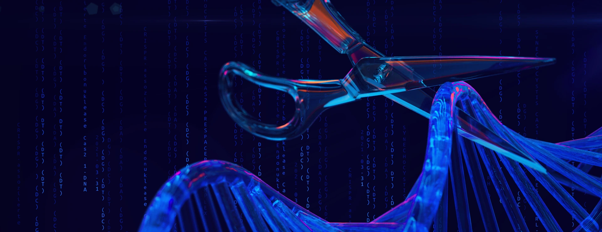 Gene-editing scissors cut a DNA strand