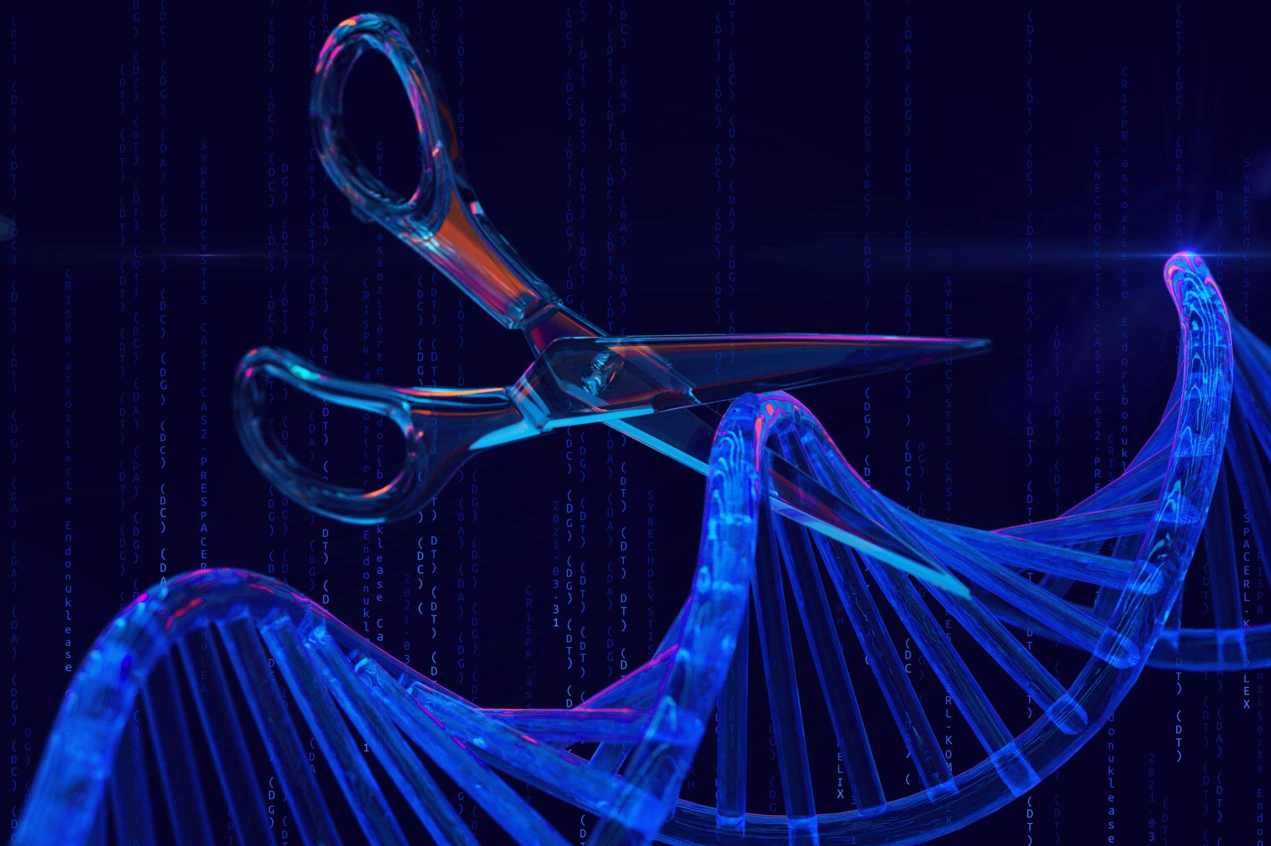 Gene-editing scissors cut a DNA strand