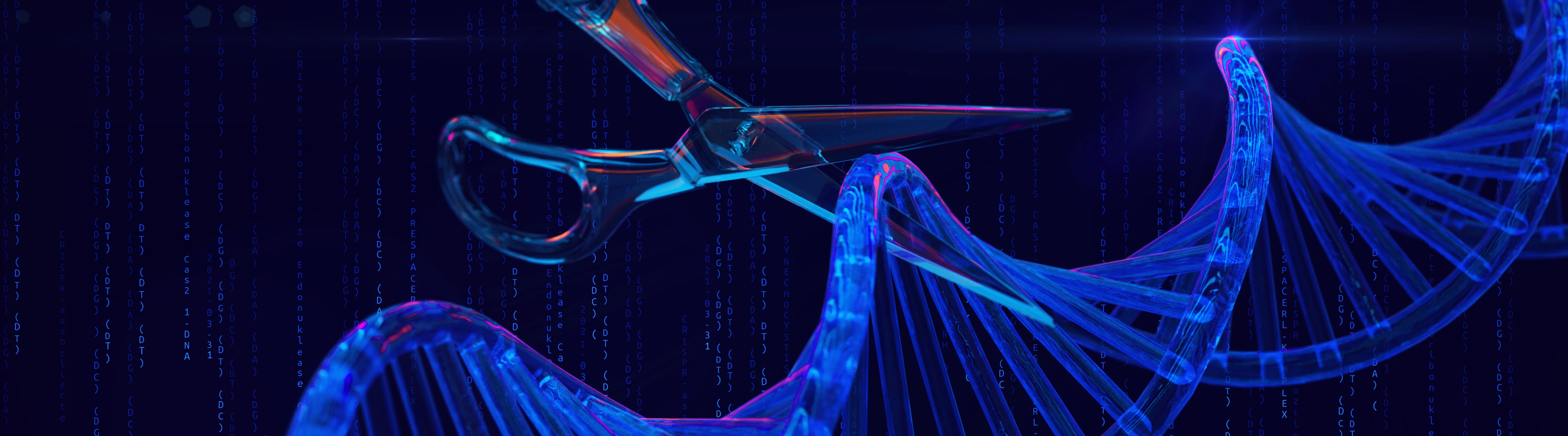 Gene-editing scissors cut a DNA strand