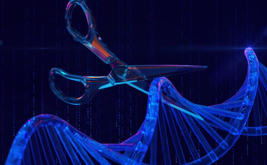 Gene-editing scissors cut a DNA strand