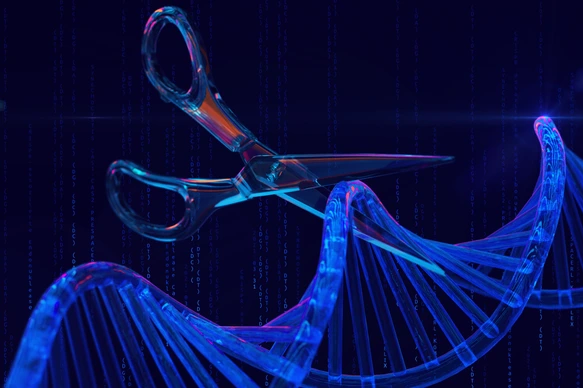 Gene-editing scissors cut a DNA strand