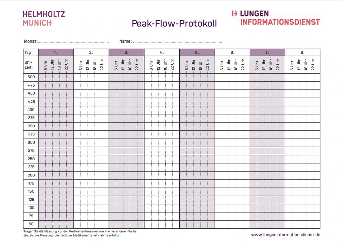 Peak-Flow-Protokoll_Icon