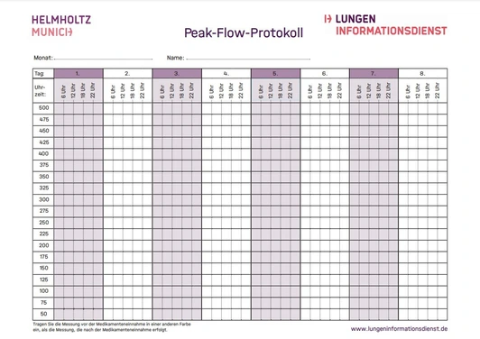 Peak-Flow-Protokoll_Icon