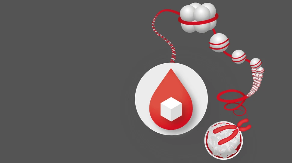 8th_Helmholtz_Diabetes_Conference_Bild