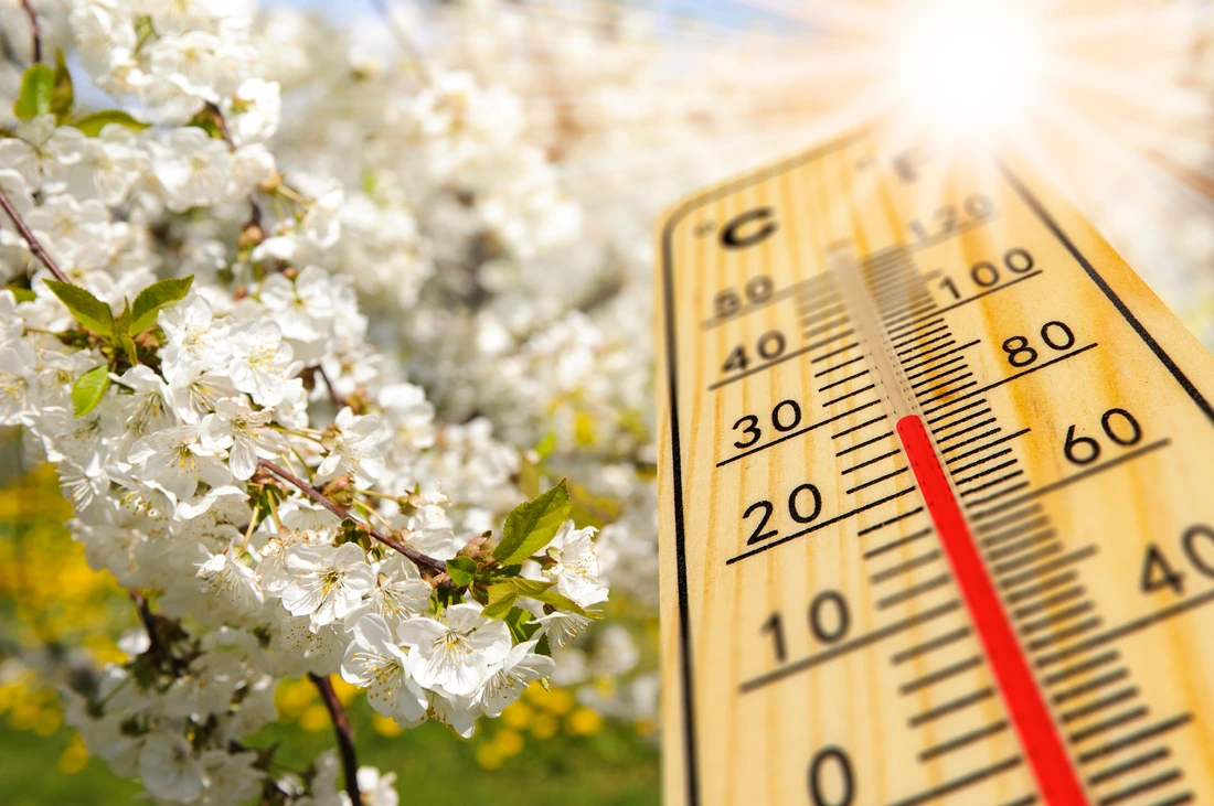 Klimawandel und Allergie