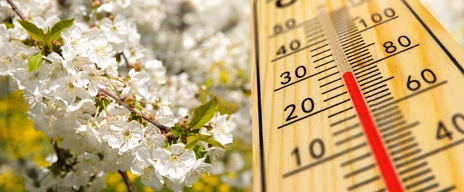 Klimawandel kann Allergie-Symptome beeinflussen 