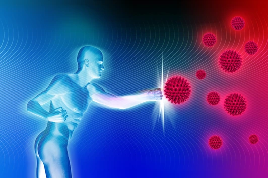 Immunsystem