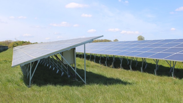 Photovoltaïque et production fourragère : résultats de R&D