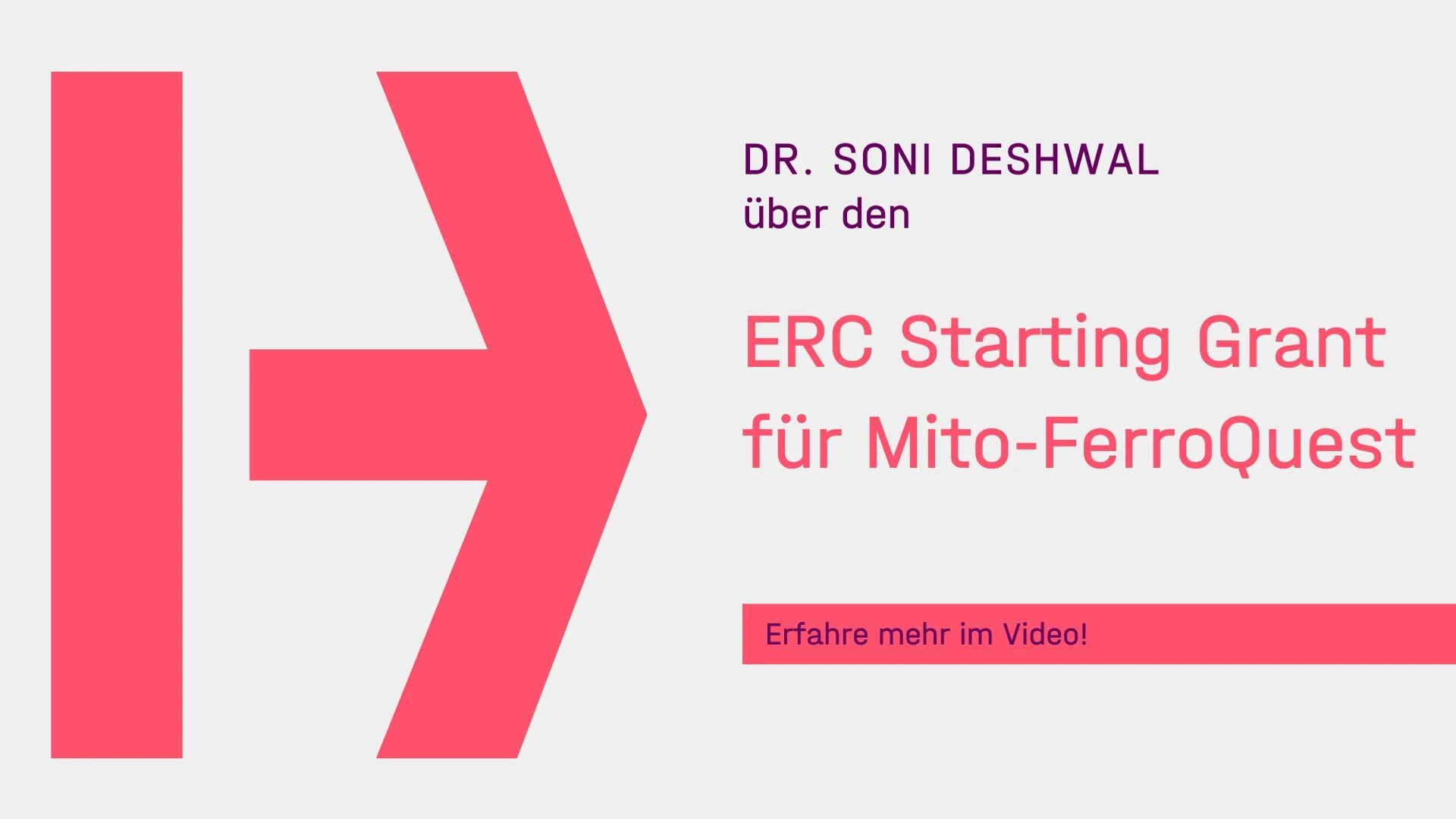 Videos_ Vorschaubilder_Hofmannn - 6