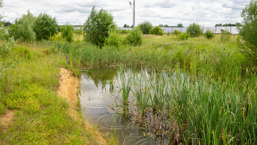 Un travail collectif d’intégration du projet dans le territoire