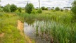 Un travail collectif d’intégration du projet dans le territoire