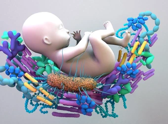 Baby und Mikrobiom - Immunsystem und Schwangerschaft