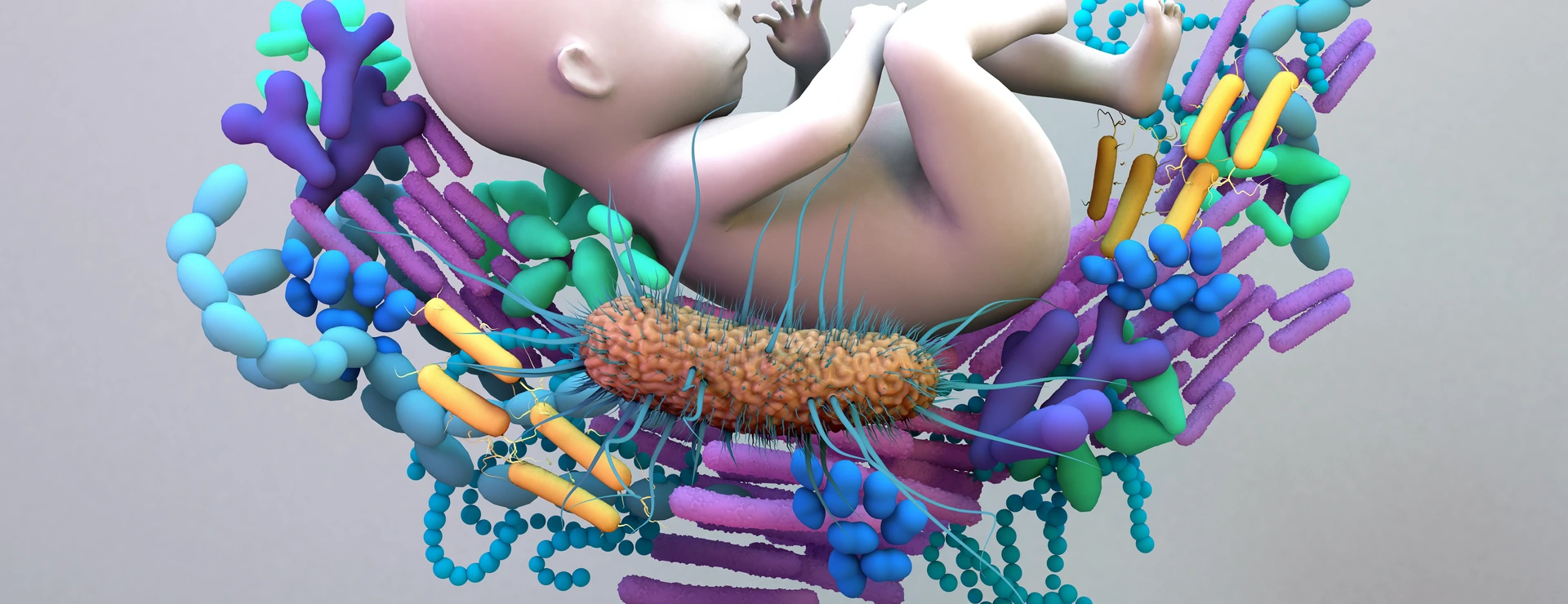 Baby Microbiome, the infant gut microbiome, genetic material of all the microbes.