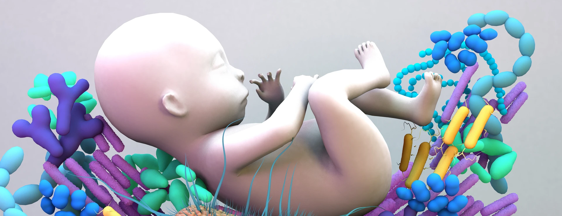 Baby und Mikrobiom - Immunsystem und Schwangerschaft