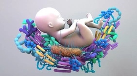 Baby Microbiome, the infant gut microbiome, genetic material of all the microbes.