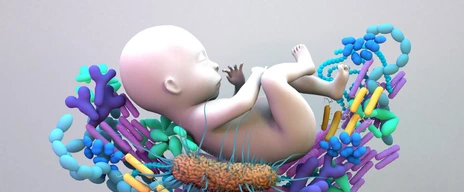 Mikrobiom und Baby