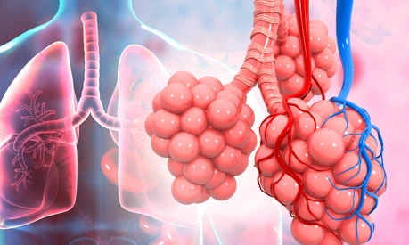 Lungs alveoli on medical background