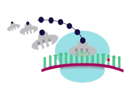 Image for publication as titled above by Robert Schneider