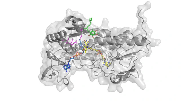 Superimposed human FSP1 structure with its cofactors, FAD, NADH, and CoQ5