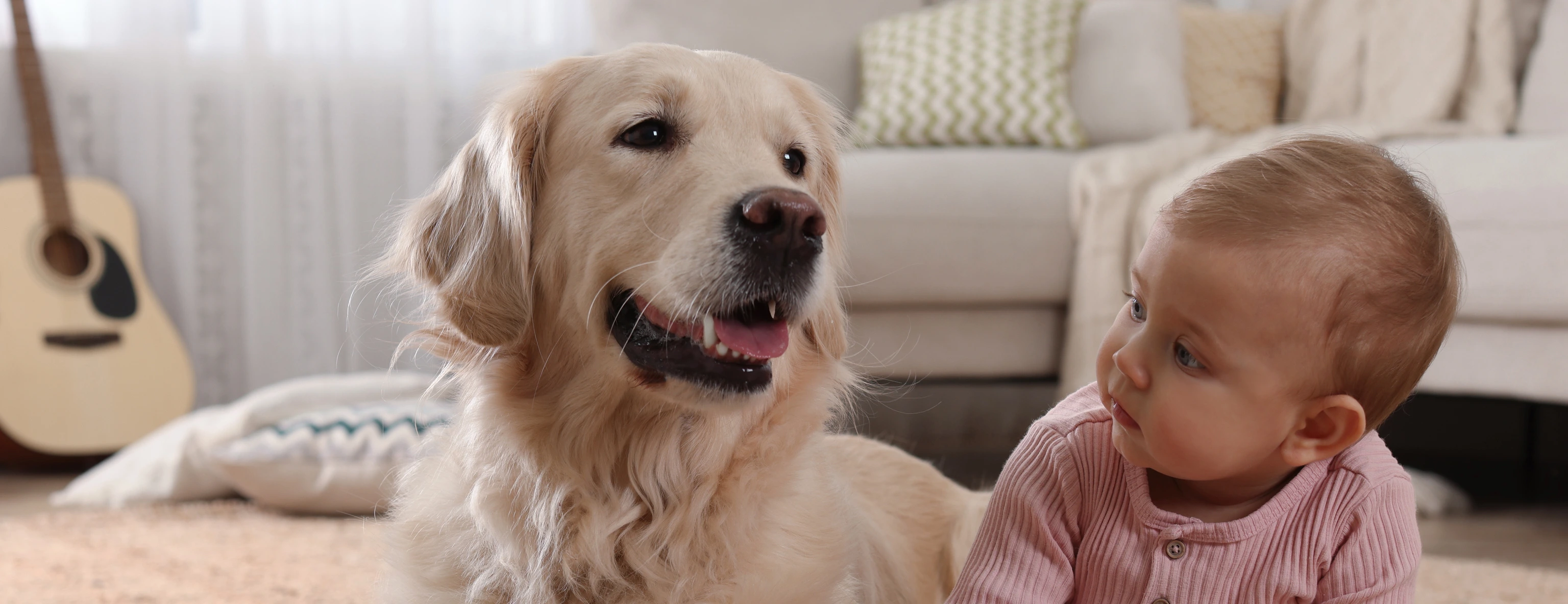 Hund mit Kind_Studie zu Eczema