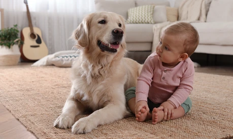 Hund und Kleinkind