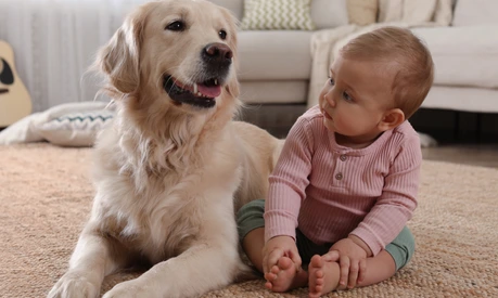 Hund mit Kind_Studie zu Eczema
