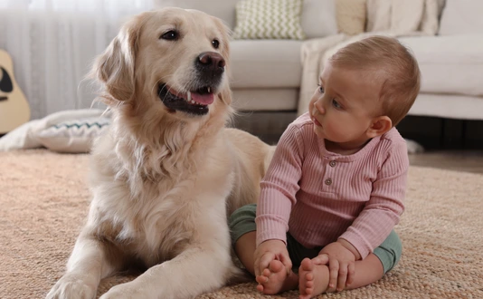 Hund mit Kind_Studie zu Eczema