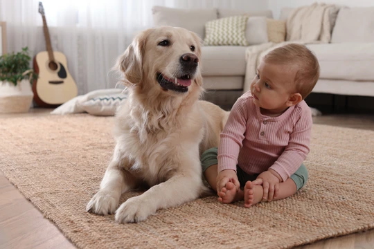 Hund und Kleinkind