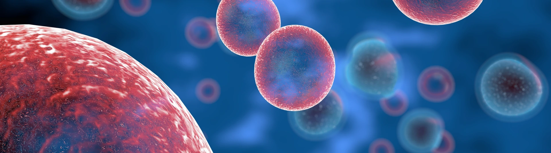 Weitere allergische Krankheitsbilder - das Immunsystem reagiert auf Allergene