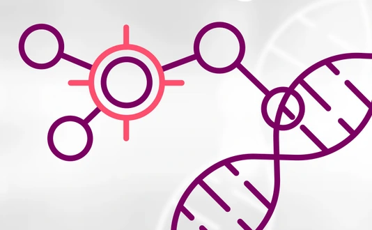 HMGU_Icon_Molecular_Targets