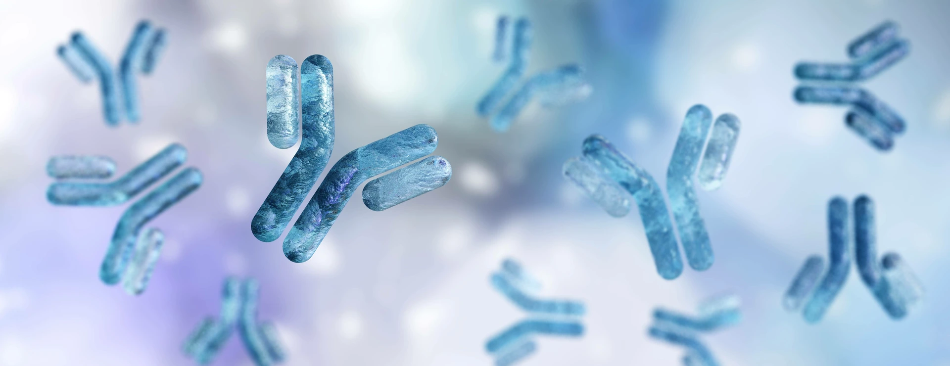 Antibody, immunoglobulin, Y-shaped protein produced mainly by plasma cells