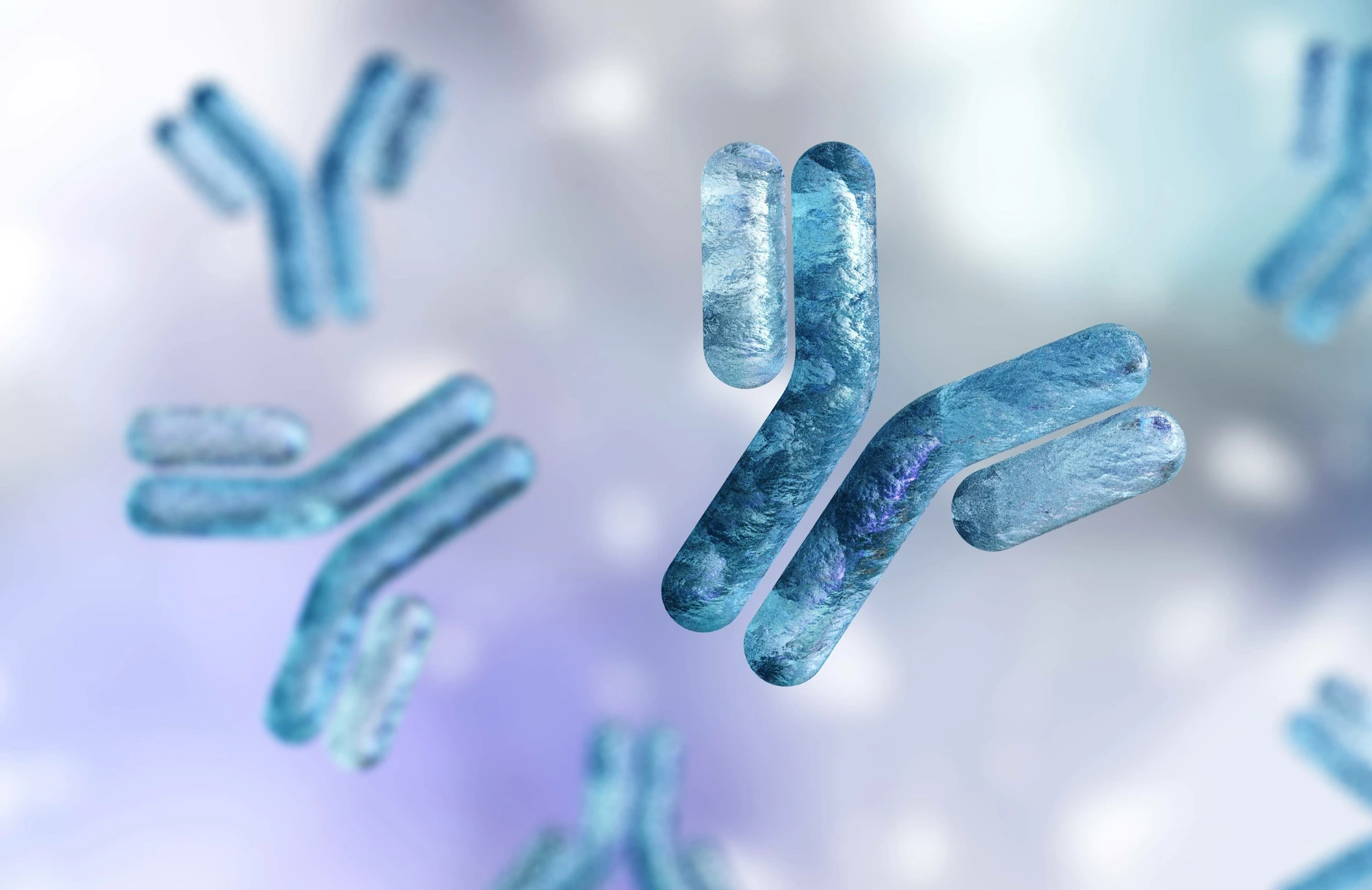 Antibody, immunoglobulin, Y-shaped protein produced mainly by plasma cells