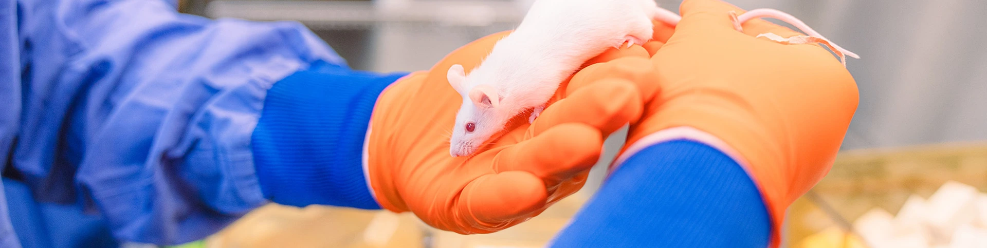 Tierpfleger Header Stellenbeschreibung