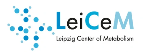 LeiCeM Logo