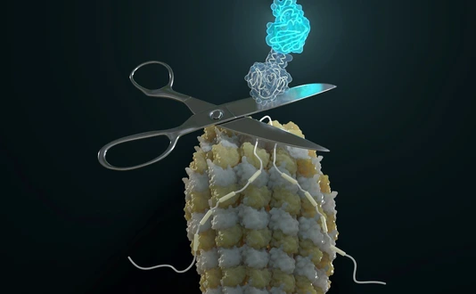 Cover Art: The Cut and Restore Protein Trick: Self-Excising Designer Proteins Report Isoform Expression