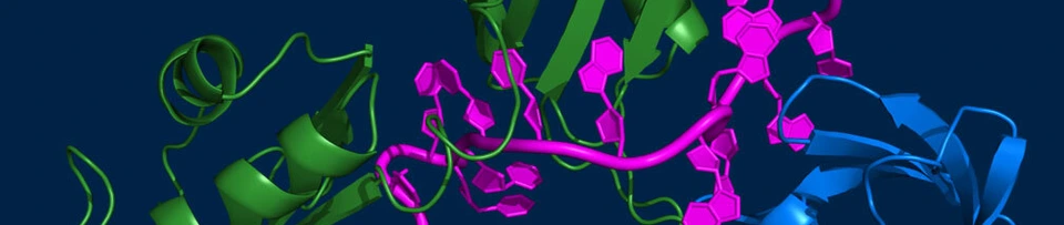 Institutsbutton Institut für Strukturbiologie