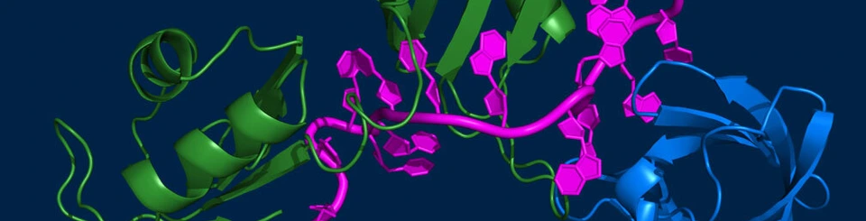 Institutsbutton Institut für Strukturbiologie